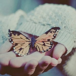 无码野荷唐乱伦
